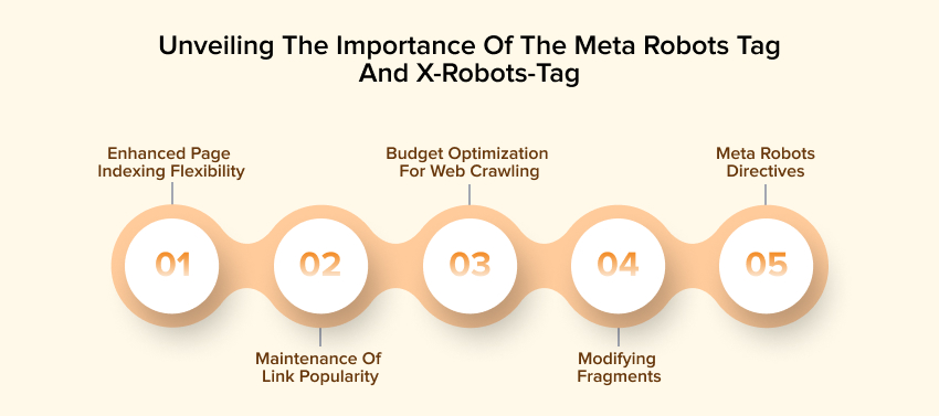 Importance of meta robots tag and the x-robots tag